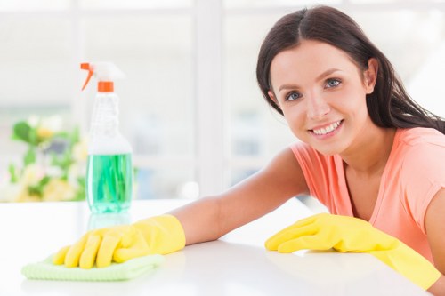 Professional sofa cleaning service for a family home in SE24