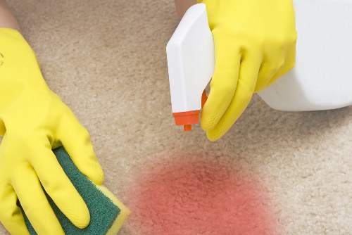 Domestic cleaner working in a SE24 home with local residential context