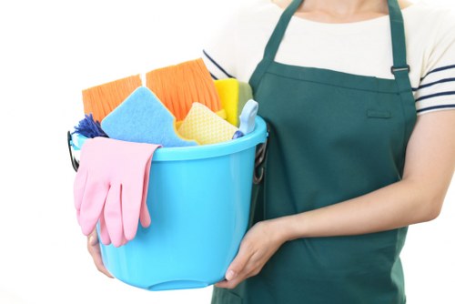Risk assessment and safety checks during carpet cleaning in SE24