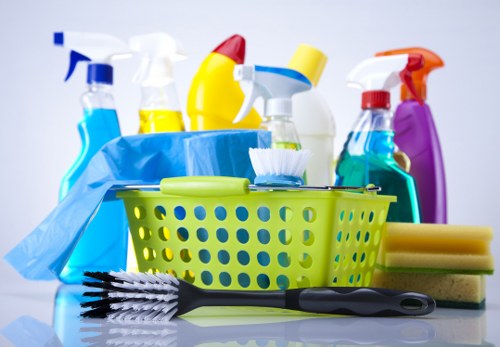 User browsing Carpet Cleaners SE24 website with cookie consent notice