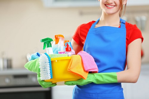 Airbnb turnover cleaning for a guest-ready property in SE24