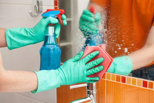 Professional steam carpet cleaning for a SE24 home living room