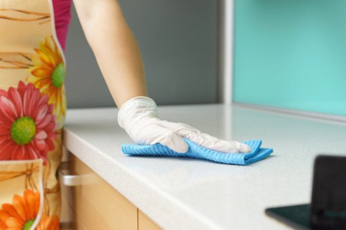 Accessible Carpet Cleaners SE24 website commitment illustration