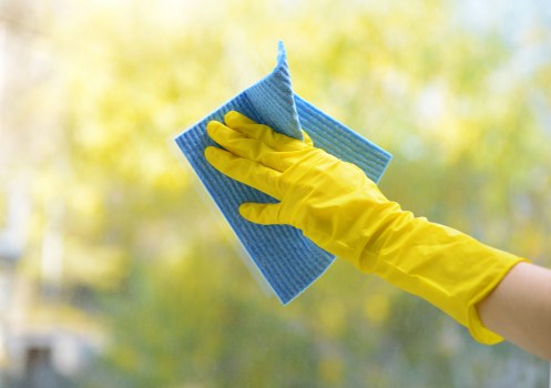 Professional move in cleaning for a SE24 home before unpacking