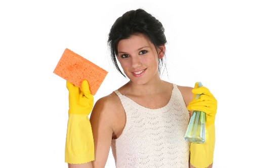 Professional inspection for pet stain and odour removal in a SE24 living room