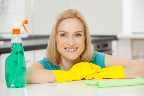 Regular cleaning visit for a local SE24 business office