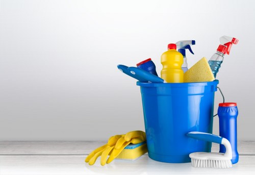 Local cleaner carrying out routine kitchen and bathroom cleaning in SE24