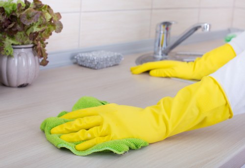 Upholstery and carpet odour treatment in a SE24 home after pet accidents