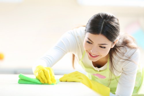 Hot water extraction carpet cleaning equipment in a South London property