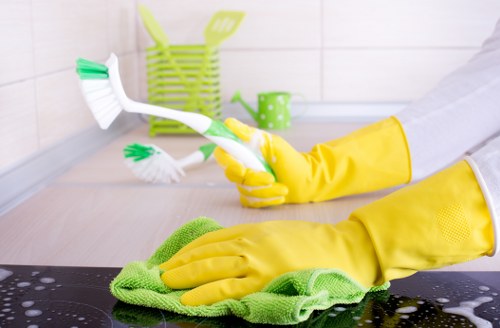 Professional carpet cleaning appointment preparation and inspection