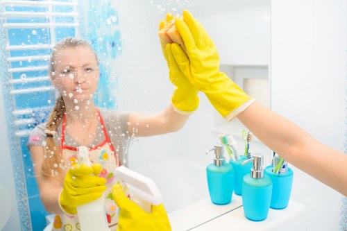 End of tenancy bathroom cleaning for a SE24 property