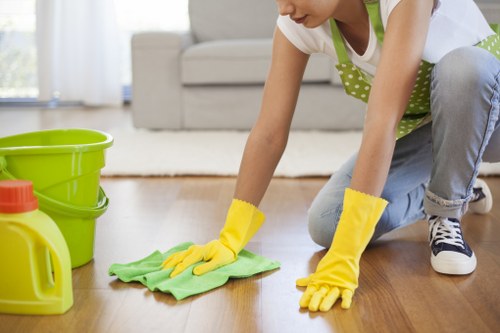 Deep cleaning support for a SE24 bathroom and tiled surfaces